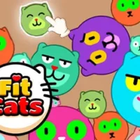 Play_Fit_Cats_Game