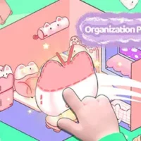 Play_Organization_Princess_Game